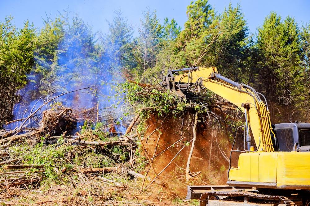 Georgia Land Specialists excavator removing trees and stumps and clearing using commercial burning